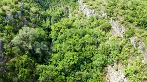 在峡谷中升起绿色森林的无人机镜头视频的预览图
