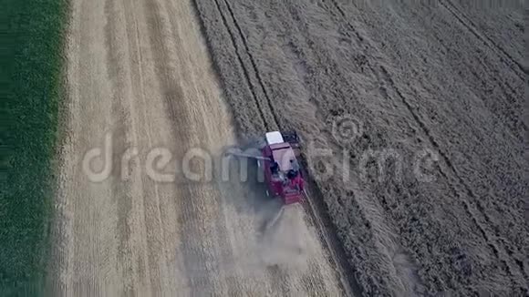 田间劳动的收割者现代红色结合收割小麦的空中景观视频的预览图