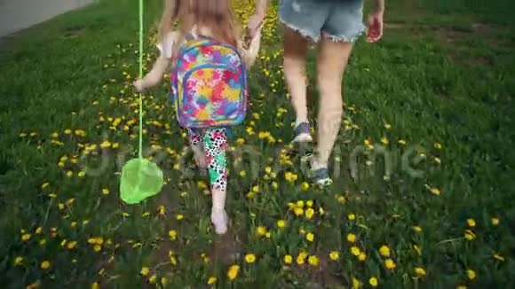 儿童和年轻妇女在黄色蒲公英上行走的腿的俯视图视频的预览图