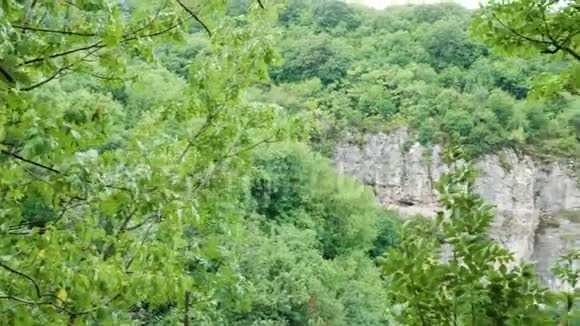 全景拍摄的岩石山脉和树木视频的预览图