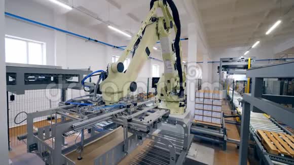 带有大型机器人机器的纸箱包装装置视频的预览图