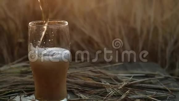 淡凉啤酒倒在一条大溪流中倒入透明的玻璃杯视频的预览图