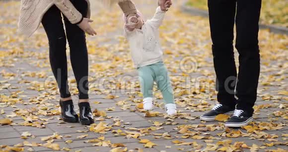 快乐的宝宝在秋天的公园里学习走路视频的预览图