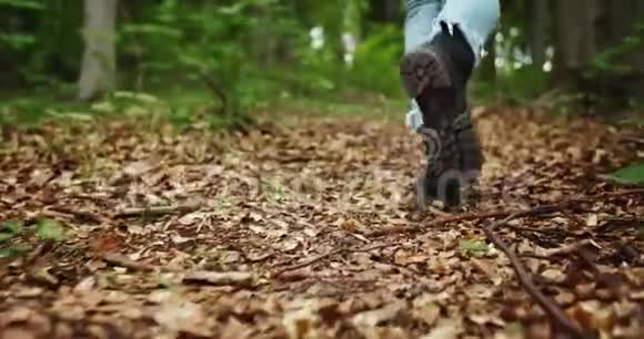 森林中女性徒步旅行车的背景视频的预览图
