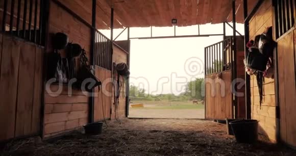 在马厩里拍摄透过日落时从马厩里走出来的人的眼睛看动物护理视频的预览图