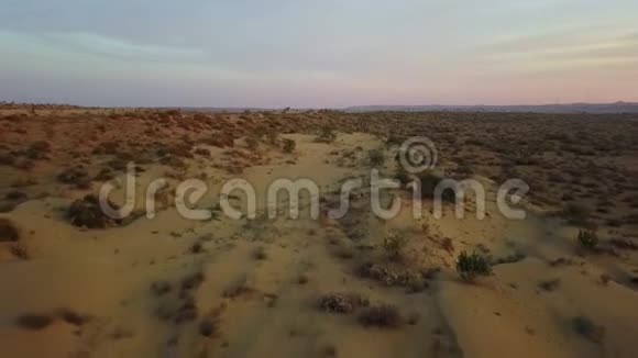 印度沙漠自然户外背景视频的预览图