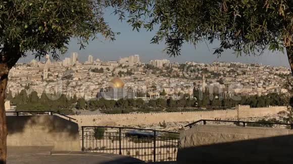 耶路撒冷橄榄树环绕的岩石穹顶晨照视频的预览图