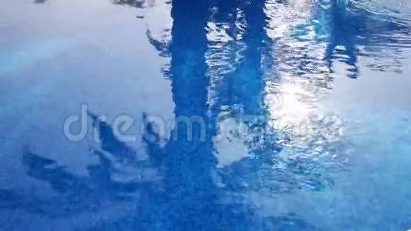 游泳池棕榈树的倒影视频的预览图