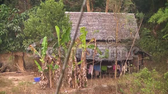缅甸森林中的缅甸传统民居视频的预览图