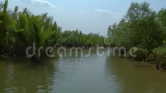 BushyPales和MangrovesKangyRiver缅甸视频的预览图