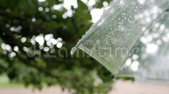 雨滴在透明的伞上背景是绿色的树叶视频的预览图