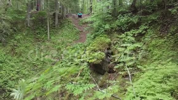 一个穿着蓝色雨衣的男人坐在山上的绿色森林里库存录像徒步旅行需要休息视频的预览图