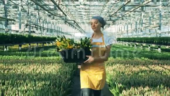 一个有一束郁金香的人走在温室里视频的预览图