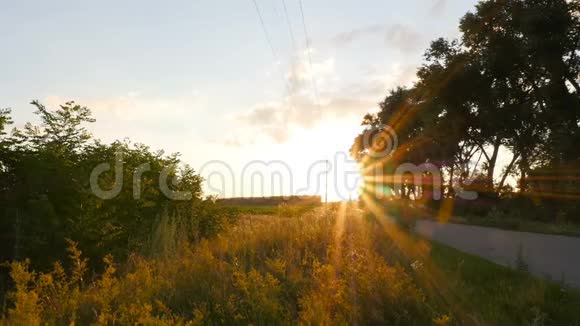 田野里灿烂的日落绿草如茵照相机在动美丽的风景和田野里的道路视频的预览图