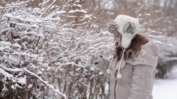 戴着暖和帽子玩雪的女人圣诞节假期冬雪的心情可爱的女孩在冬季公园玩得很开心冬天的女人克视频的预览图