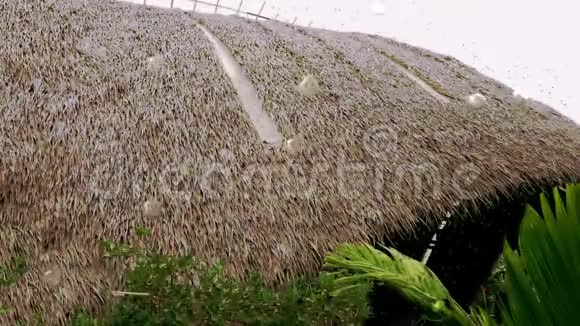 现实的雨滴与稻草屋顶视频的预览图