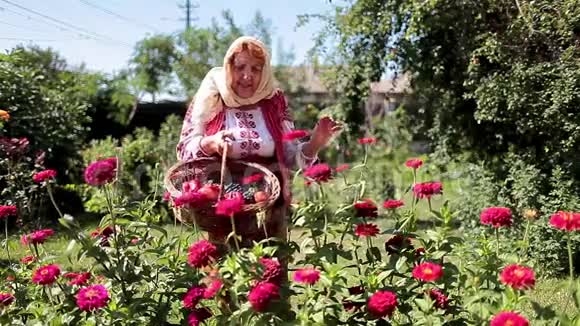 罗马尼亚女子园艺视频的预览图