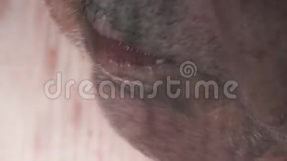 无法辨认的老人没有胡子的人用勺子和咀嚼食物观下部面部仅有口部关于视频的预览图