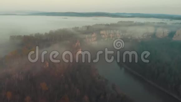 美丽的雾蒙蒙的河流和云杉林在山上视频的预览图