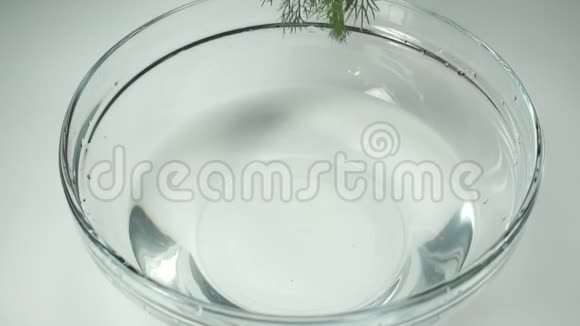 一个女人手里拿着一簇簇鲜绿色动作缓慢女用手用清水在玻璃碗里洗绿色视频的预览图