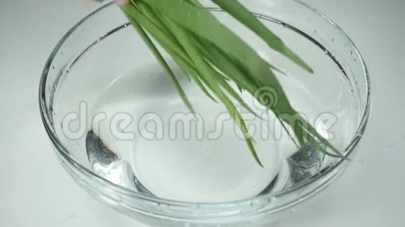 慢动作一个女人手里拿一串青葱女性用清水在碗里洗手葱视频的预览图