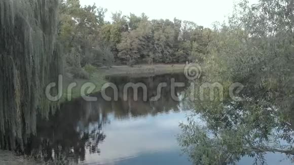 尼夫基公园的湖基辅乌克兰空中景观视频的预览图
