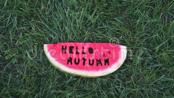 西瓜片在绿草的背景上切片西瓜与文字你好秋秋季概念视频的预览图