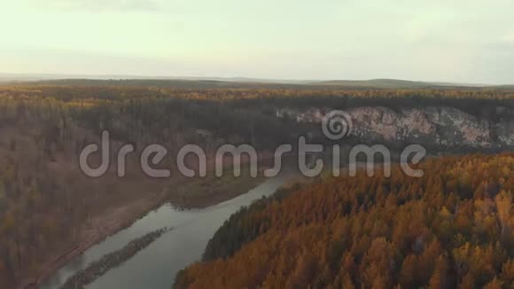 观赏橙色森林和河流的早晨景观视频的预览图