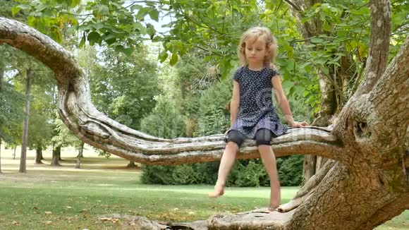 夏天可爱的小女孩蓝眼睛金发赤脚坐在公园的树枝上视频的预览图