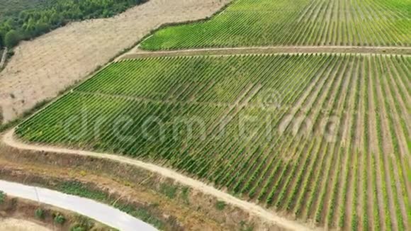 空中无人机拍摄的葡萄园视频的预览图