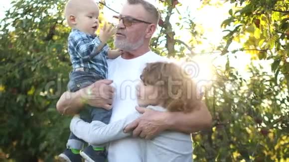 快乐的祖父和两个孙子在秋天的夕阳下在苹果园玩得很开心视频的预览图