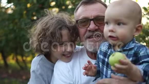 在村里度假家庭幸福孩子吃苹果祖父和他的孙子孙女们兴高采烈地笑着视频的预览图