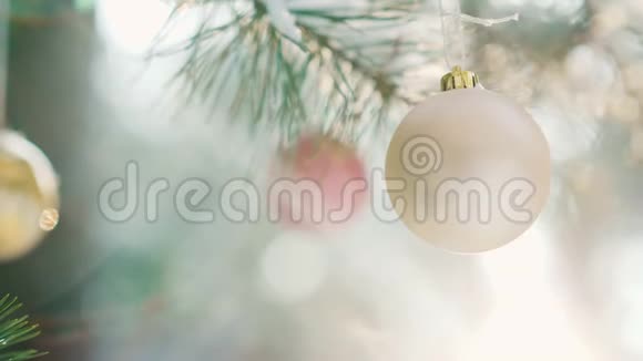 圣诞球挂在夕阳西下的冬林中的新年树绿色树枝上视频的预览图