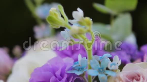 一朵五颜六色的花的特写婚礼装饰特写视频的预览图