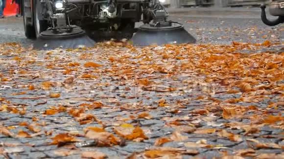 在秋天的街道上关闭清理树叶机刷子的视野德国沥青机清洗视频的预览图