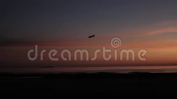 日落时在热带海滩上风筝孩子们在海边玩视频的预览图