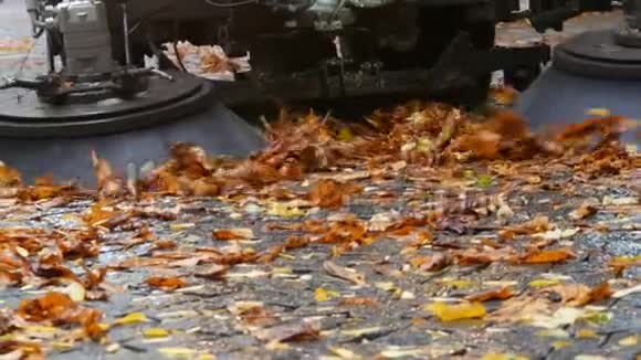 在秋天的街道上关闭清理树叶机刷子的视野德国沥青机清洗视频的预览图