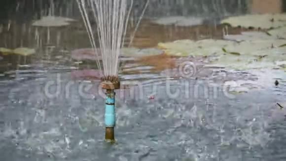 从池塘的管道喷泉流出的水视频的预览图