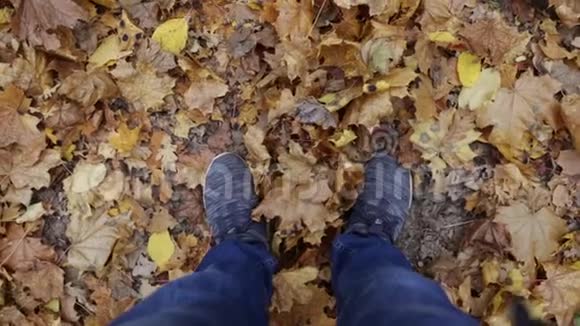 穿牛仔裤的腿站在秋天的黄色树叶上视频的预览图