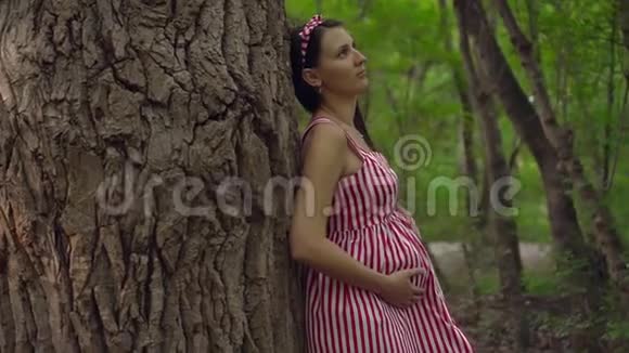 公园里绿树成荫的怀孕女孩一个穿着条纹白红色连衣裙的女孩站在树上视频的预览图