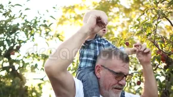 祖父女儿和孙子一个男人把孩子抱在肩上把他弯成他的女儿三个人视频的预览图