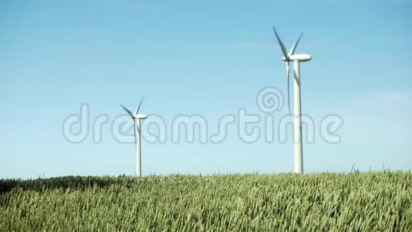 两台风力涡轮机在一片年轻的绿色小麦视频的预览图