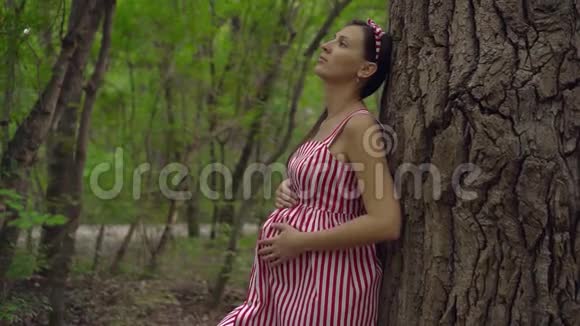 公园里绿树成荫的怀孕女孩一个穿着条纹白红色连衣裙的女孩站在树上视频的预览图