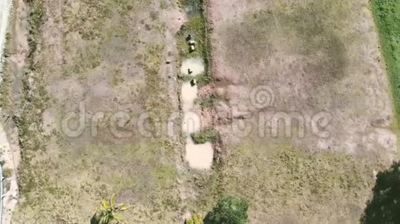 旱地鸟瞰图和道路景观背景视频的预览图