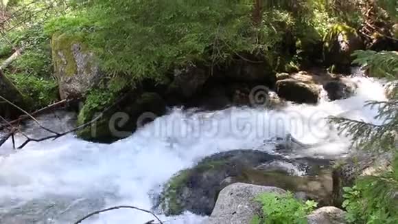 淡水在山溪的石头上流动的细节视频的预览图