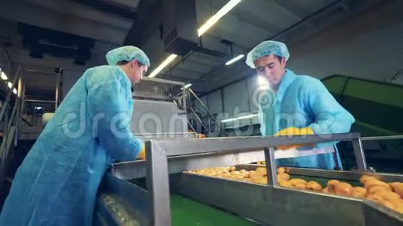 两名男性工人正在加工新鲜马铃薯块茎视频的预览图