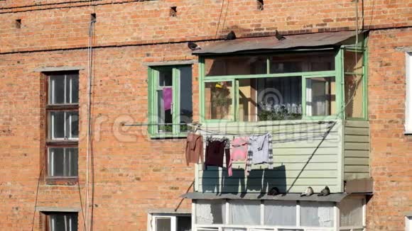 鸽子在一栋旧砖房的阳台上跑来跑去视频的预览图