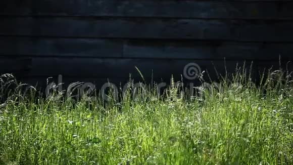草药和旧房子视频的预览图