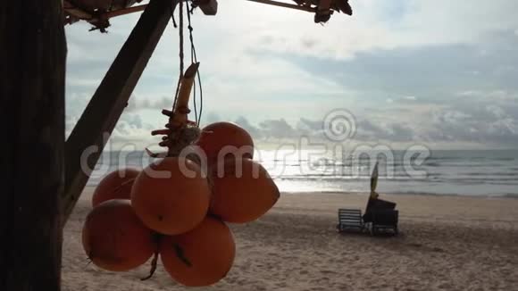日落时海滩和印度洋背景上的金色椰子放松概念视频的预览图