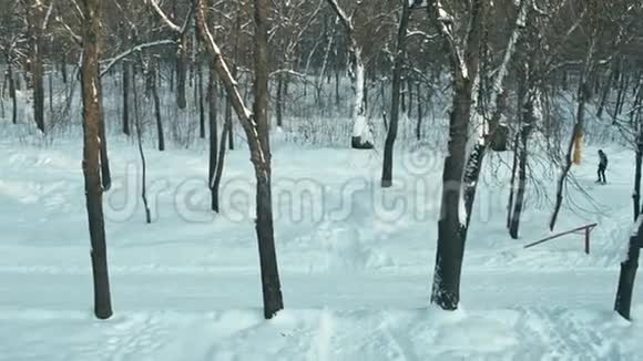 晴朗的雪天和滑雪者在树林里视频的预览图
